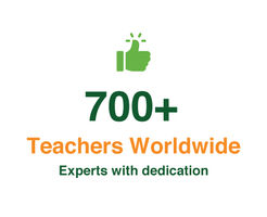 700+ Teachers Worldwide. Experts with dedication.